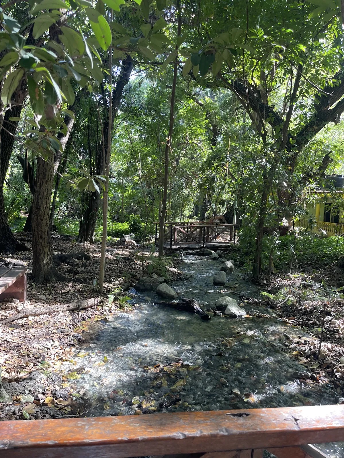 Curso de agua entre los árboles de Las Barías